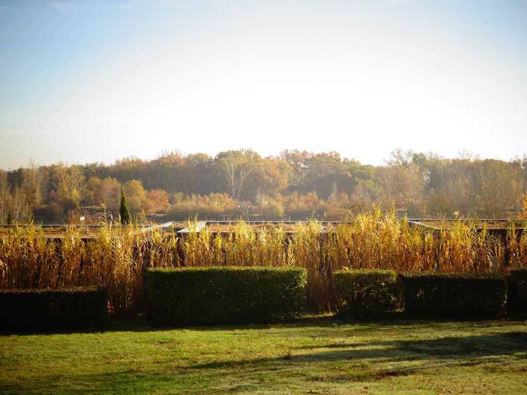 Domaine D'Ariane Hotel Mondonville ภายนอก รูปภาพ